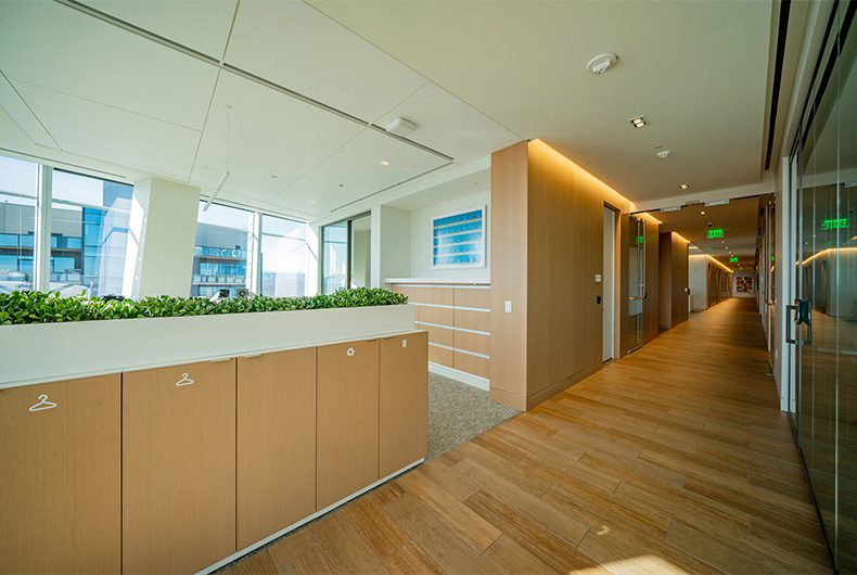 Office hallway with plant built-in partitions and wood flooring